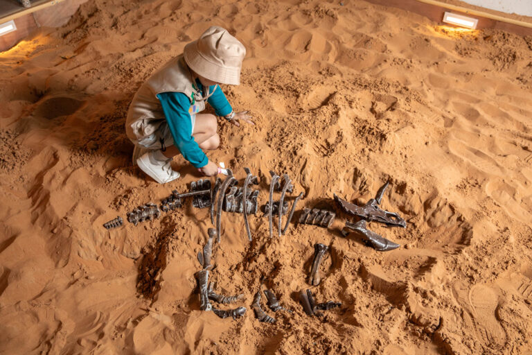 OliOli Dino Quest 7