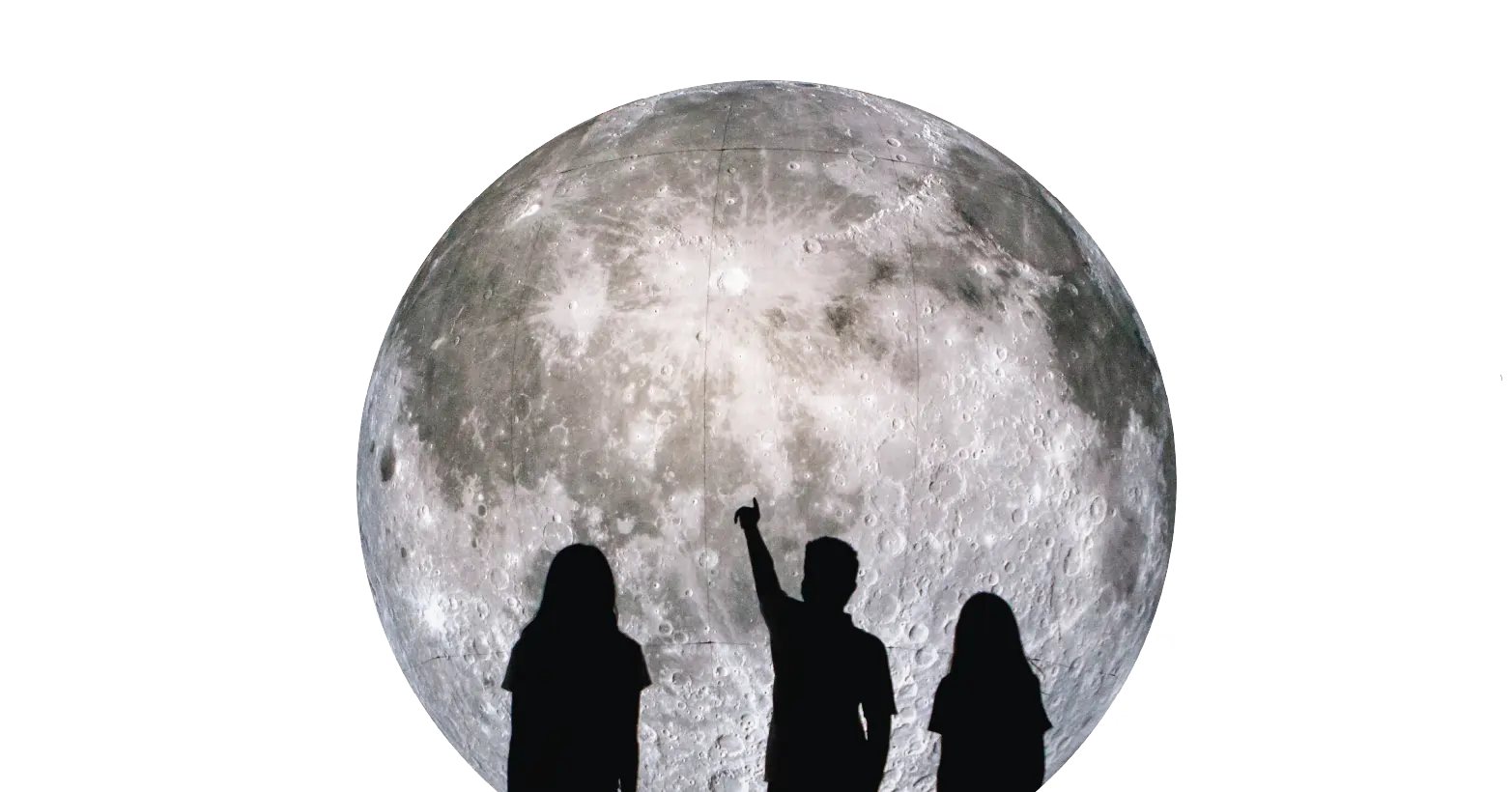 Museum Of The Moon OliOli Footer 1