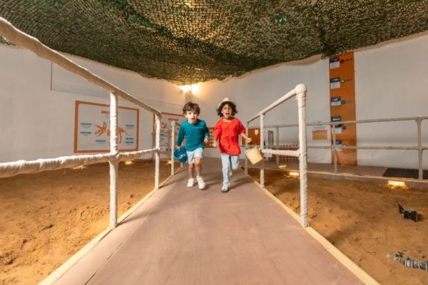 Don’t Miss the Final Weeks – Book Now Don’t Miss the Final Weeks – Book Now
