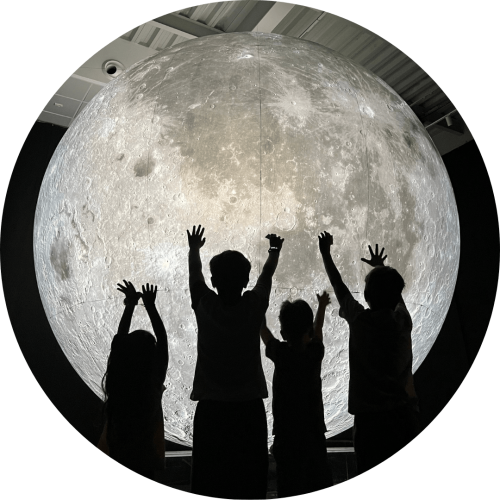OliOli Museum Of The Moon - Homepage