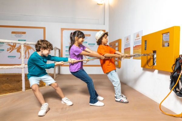 What Is Dino Quest A Prehistoric World of Hands On Learning What Is Dino Quest A Prehistoric World of Hands On Learning