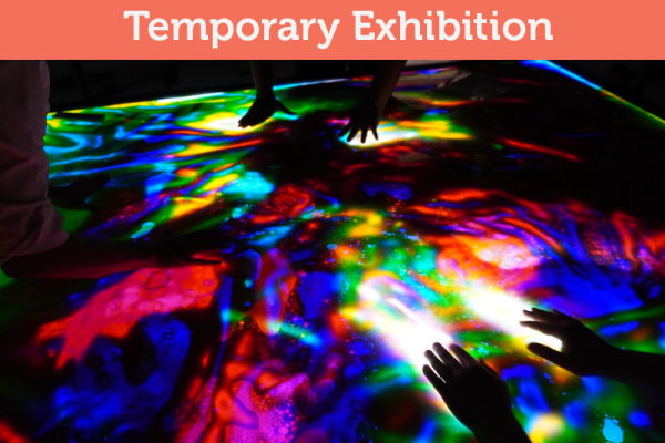 WonderScape - Temporary Exhibition